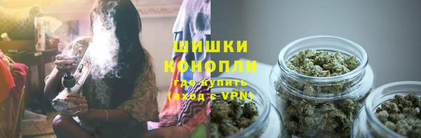индика Бронницы