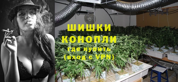 индика Бронницы