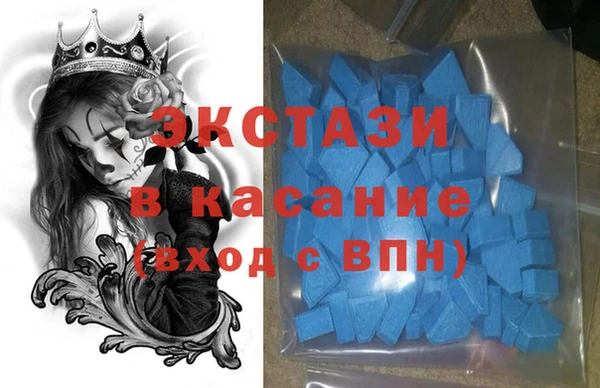 индика Бронницы