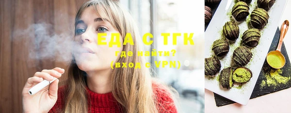 индика Бронницы