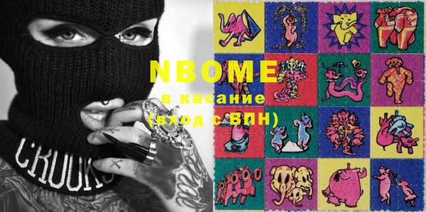 индика Бронницы
